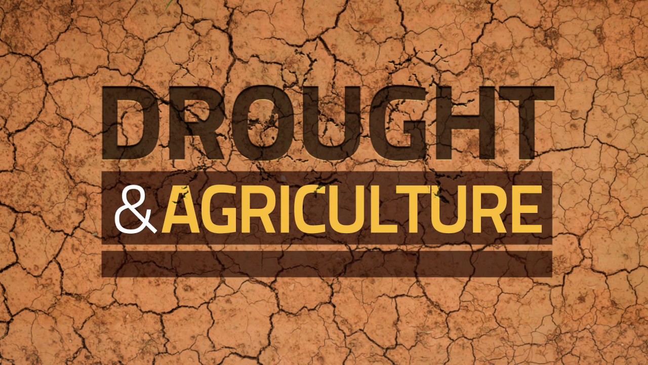 Drought and Agriculture – Predict, Plan and Prepare: Stop Drought Becom…