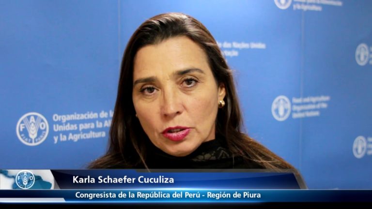 Karla Schaefer – Congresista Peru