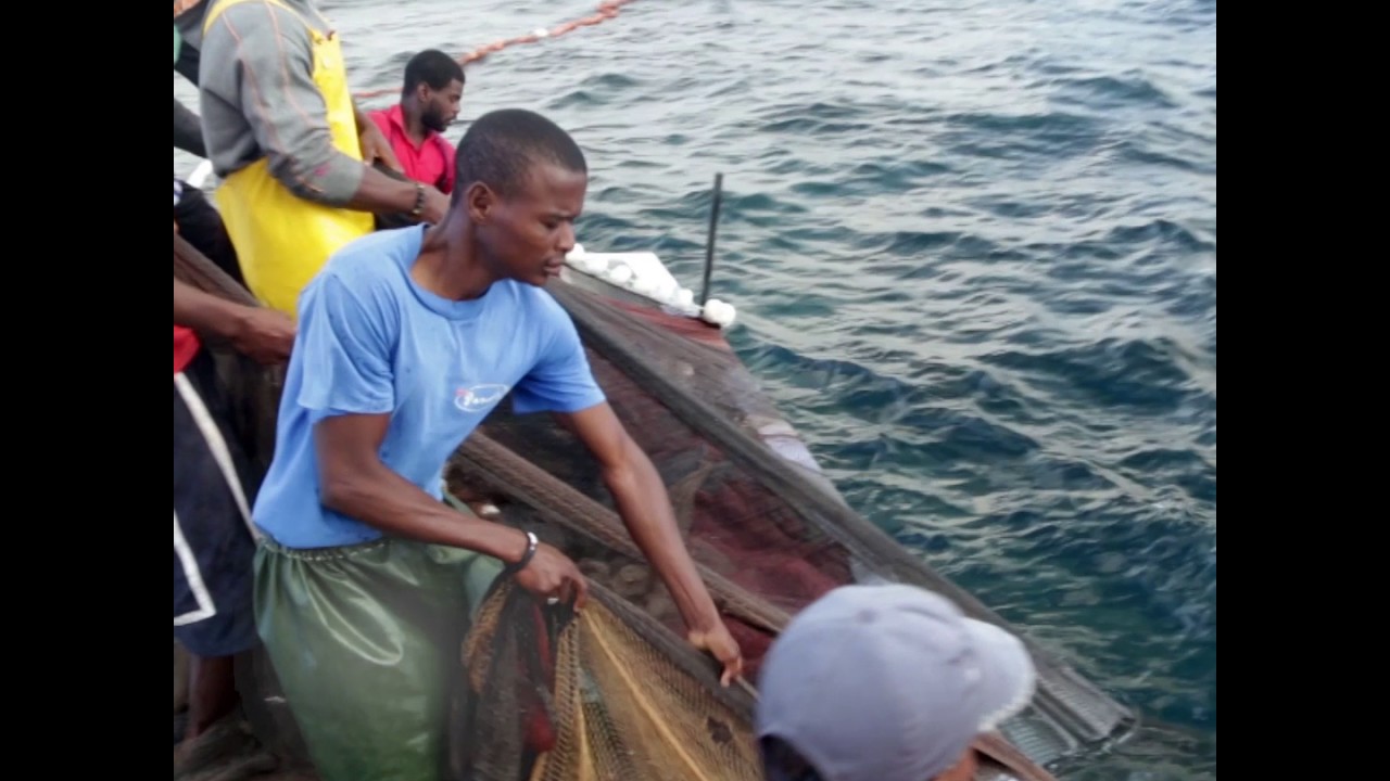 Take a minute to think about the oceans