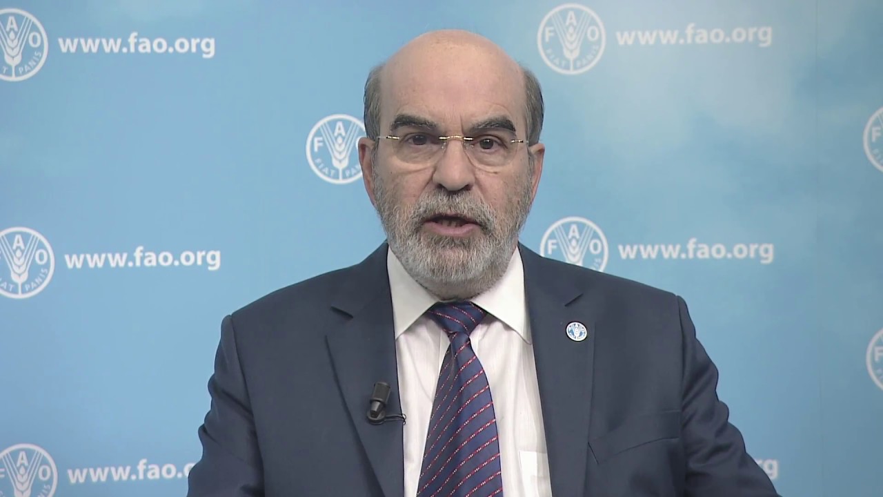 FAO Director-General’s message for World Oceans Day 2017