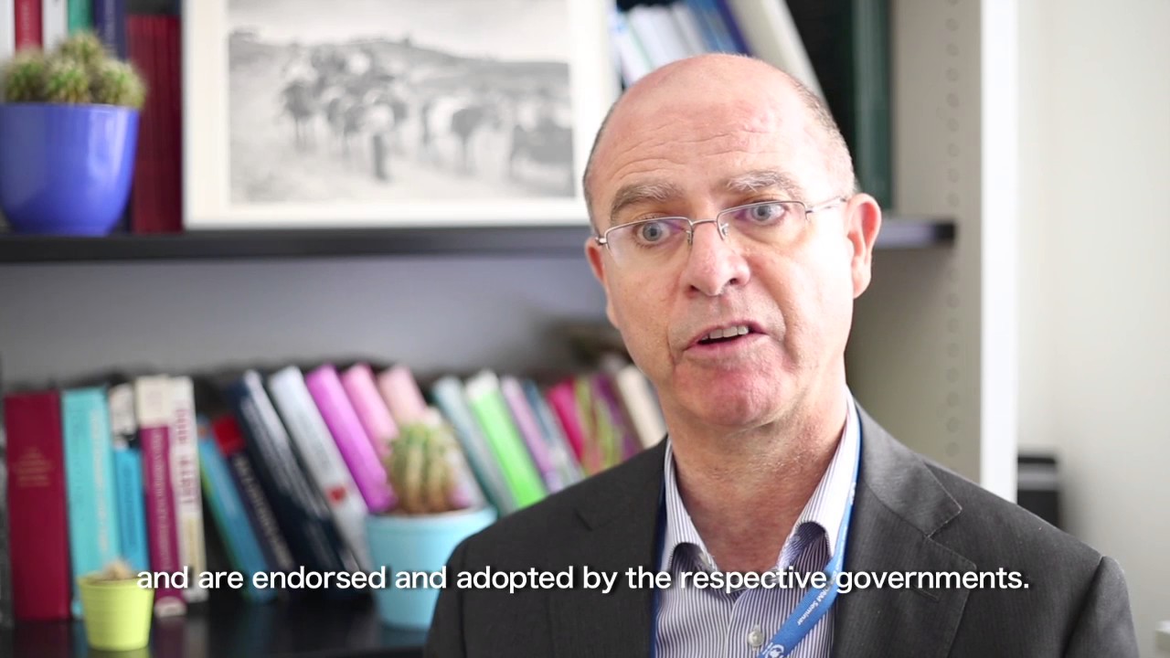 Partners, policies and pastoralism: Bringing pastoral voices to the glo…