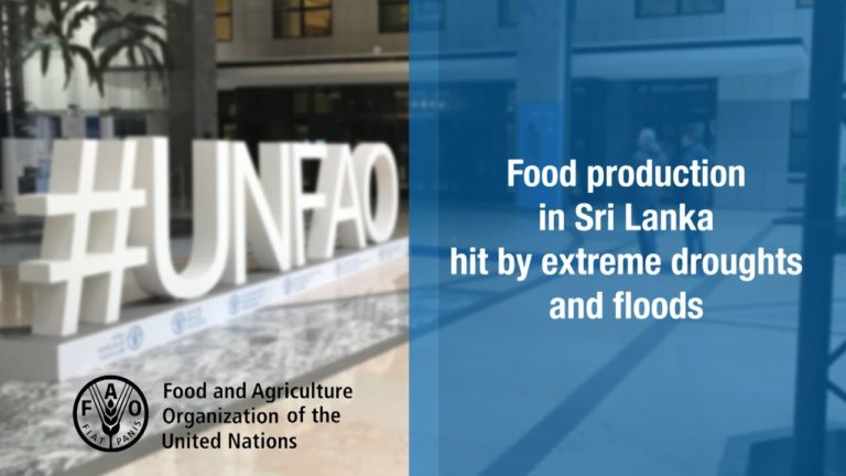 Sri Lanka’s food production hit by extreme drought followed by floods