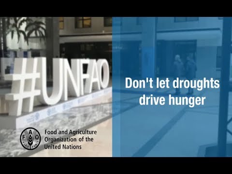 Sustainable water management can reduce the impact of droughts