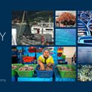 What is the Blue Economy?