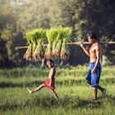 Only green growth can bring prosperity