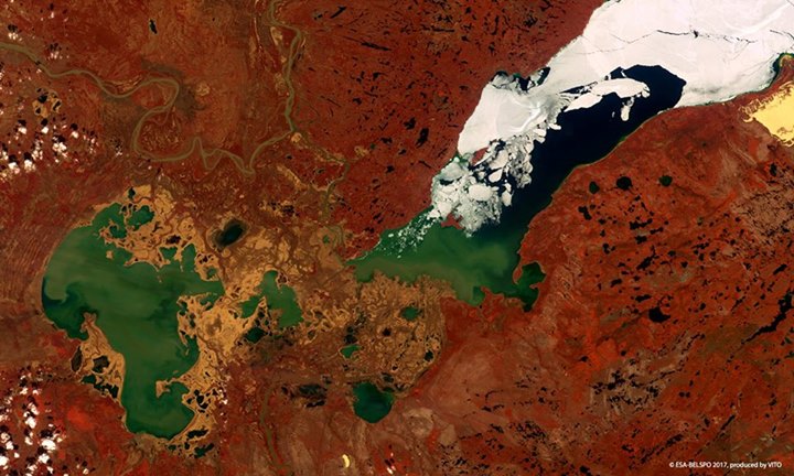 Celebrating  #WorldEnvironmentDay, 5 June, with this false-colour image from ESA…