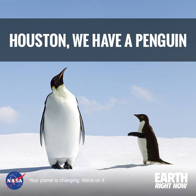 A NASA-funded tool is helping connect two unlikely partners:…