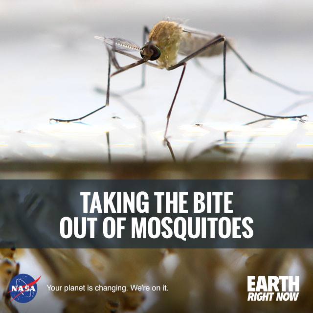 An online system called the CalSurv Gateway is the weapon of…