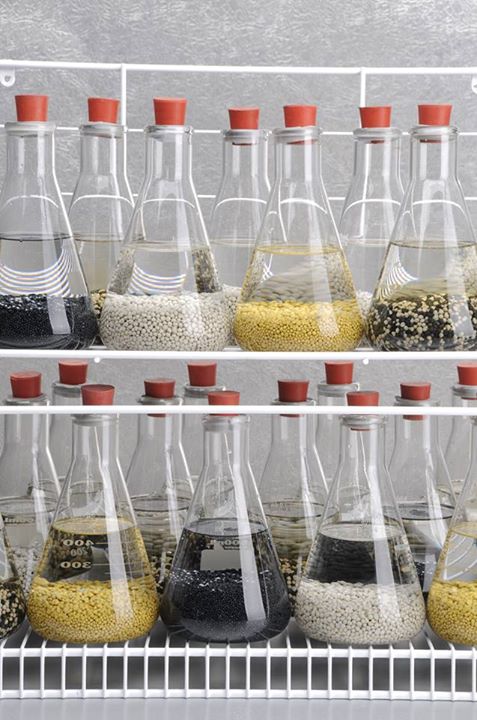 Fertilizer used to grow plants on the International Space St…