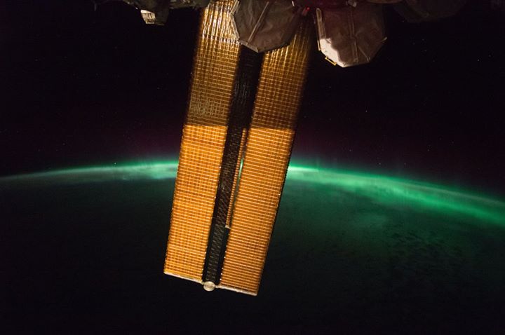 The International Space Station’s unique microgravity enviro…