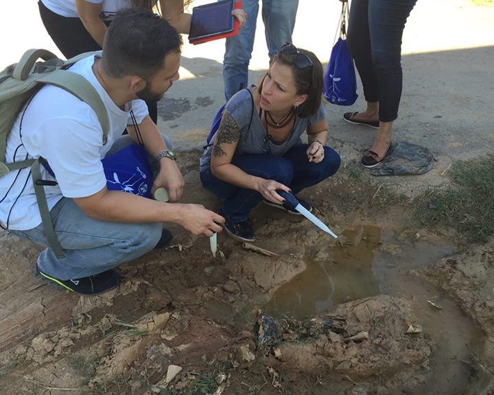 In many parts of the world, mosquitoes are more than a summe…