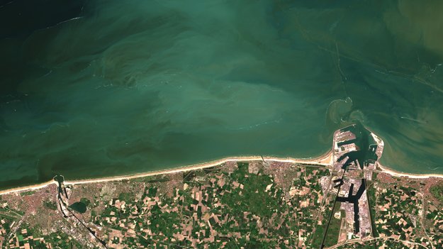 Near-shore phytoplankton bloom captured from space