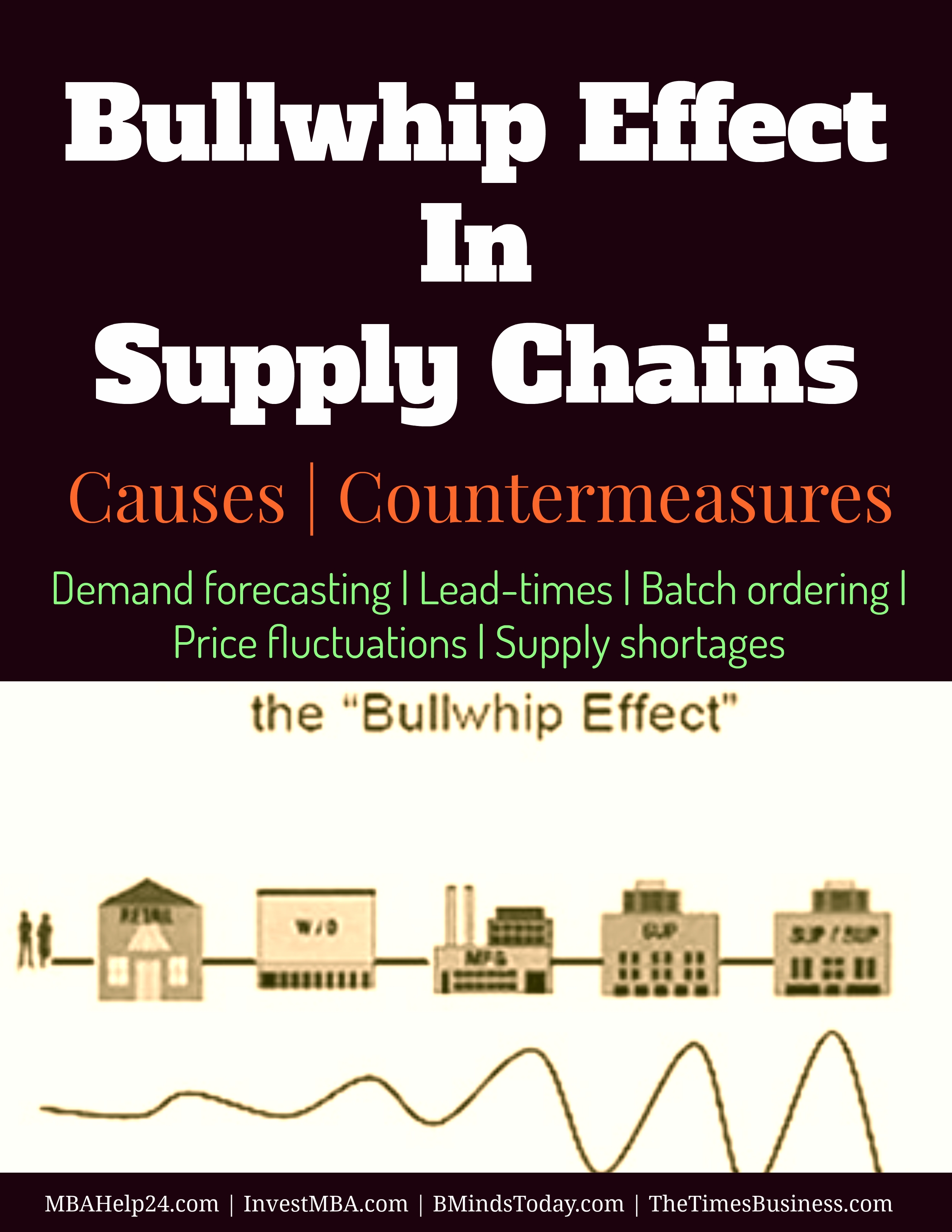 Bullwhip Effect In Supply Chains | Causes