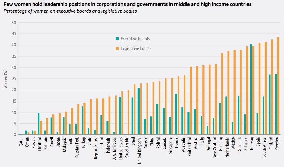 Women make up 20% of legislative bodies, 19% of heads of state or government and…