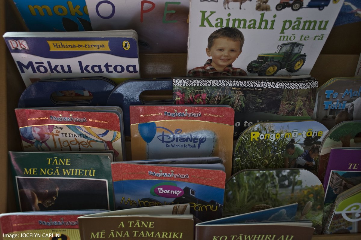 The availability of reading books is vital for strengthening the literacy enviro…