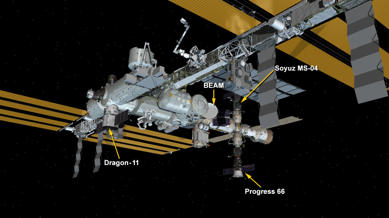 Dragon Attached to Station for Cargo Transfers