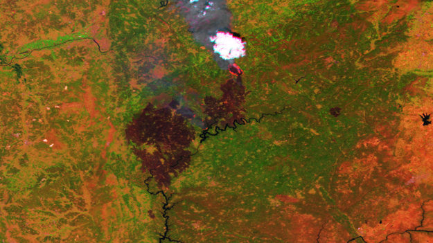 Proba-V images Portuguese forest fire