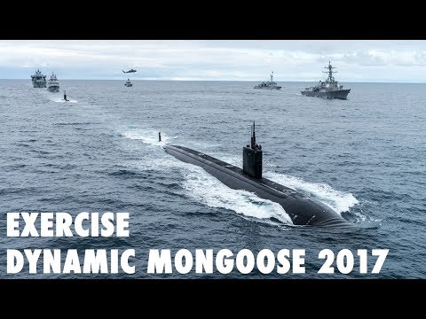 Exercise Dynamic Mongoose 2017
