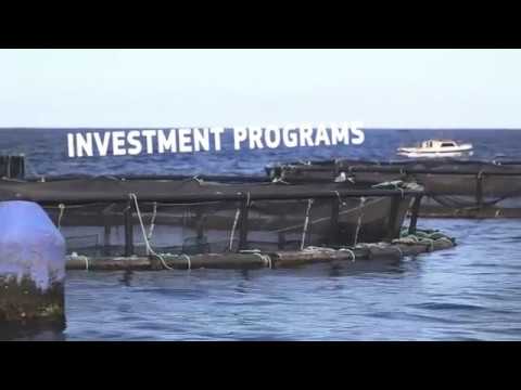 Smart Regions – Story