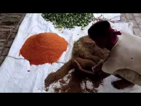 Utilization of tomato pomace as livestock feed