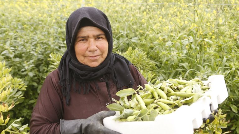 Syrian refugees embrace work permits, but some worries remain