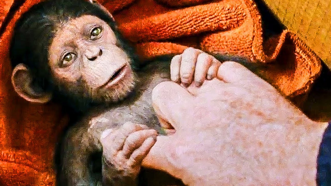 “Human Get Sick, Ape Get Smart” Trailer – The Planet Of The Apes 3 (2017)