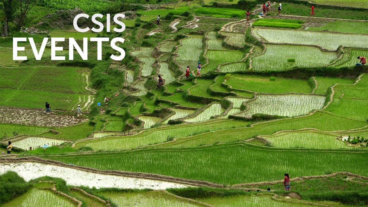 The U.S. Global Food Security Strategy: Progress, Setbacks, and Forwar…