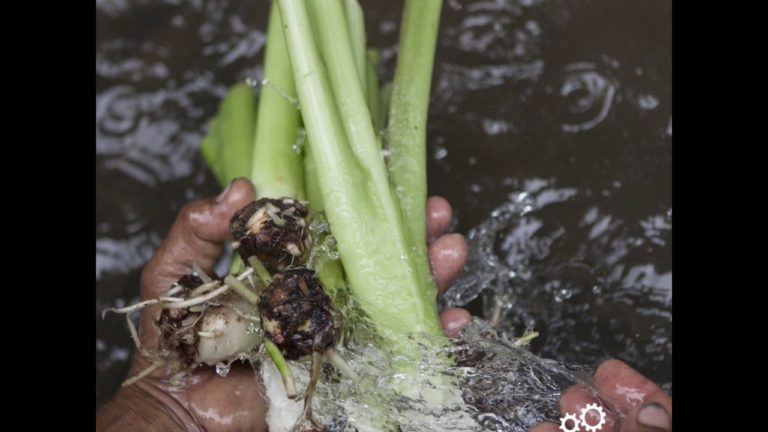 Improving water access in the Aklan Province, Philippines