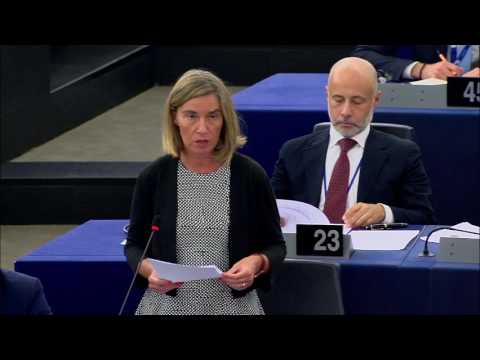 Opening statement on EU Defence plan in European Parliament