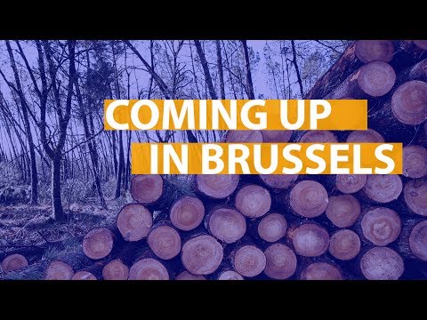 Coming up: Deforestation, Panama Papers, media pluralism and more