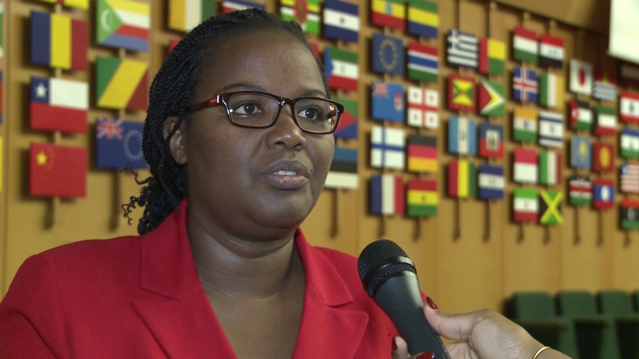 Remarks by H.E.Geraldine Mukeshimana, Minister for Agriculture and Anim…