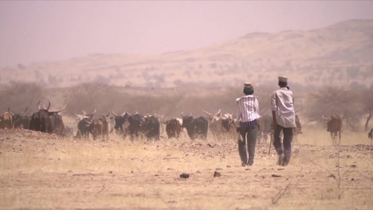 The Week in Review – 7 July 2017