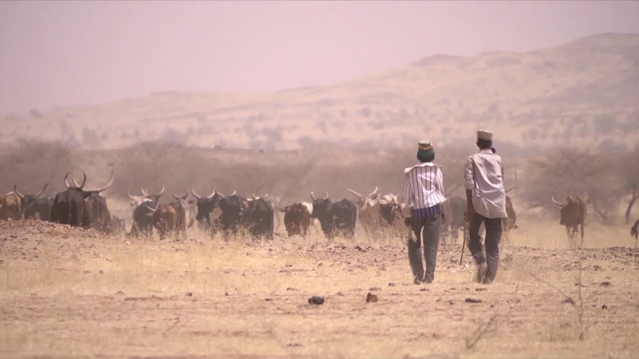 The Week in Review – 7 July 2017