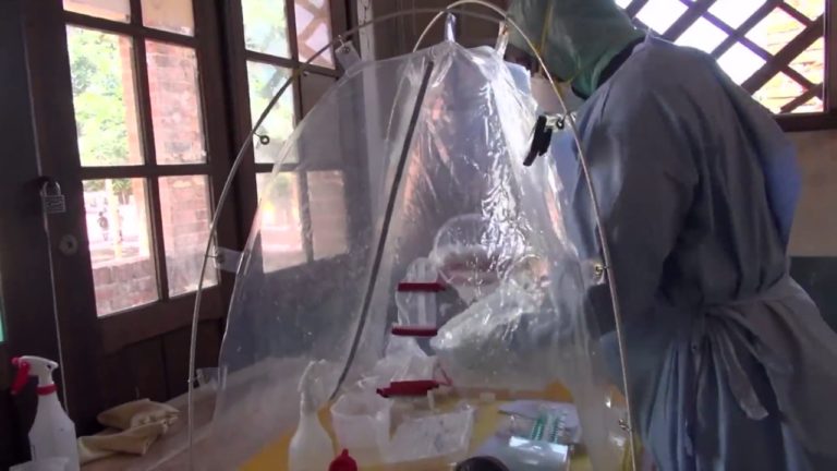 WHO declares end to recent Ebola outbreak in DRC