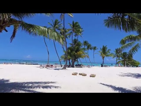 Nuclear Technology Helps the Dominican Republic Fight Insect Pests