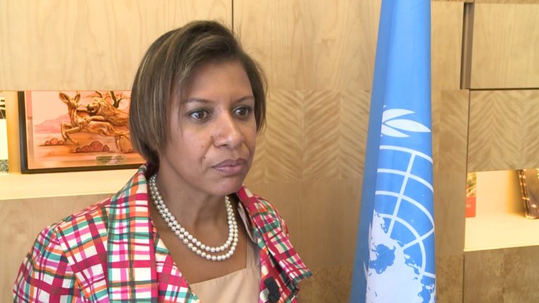 Mozambique Forest Investment Programme Technical Insights – interview w…