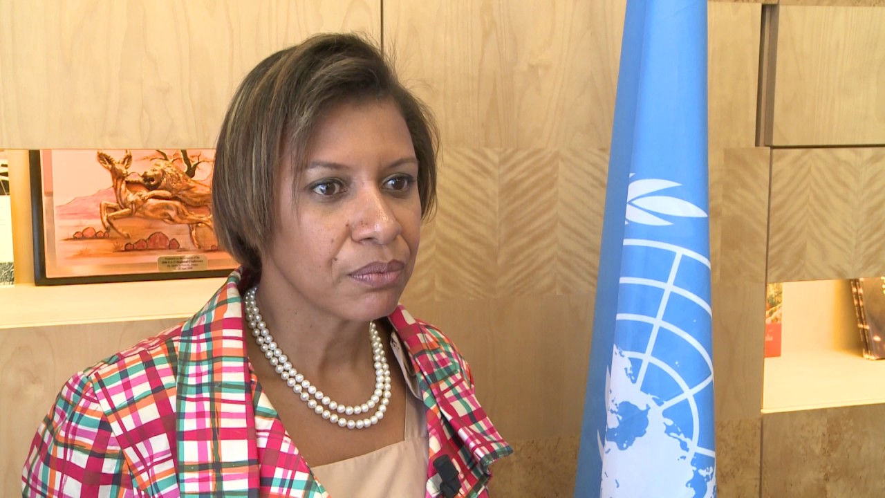 Mozambique Forest Investment Programme Technical Insights – interview w…