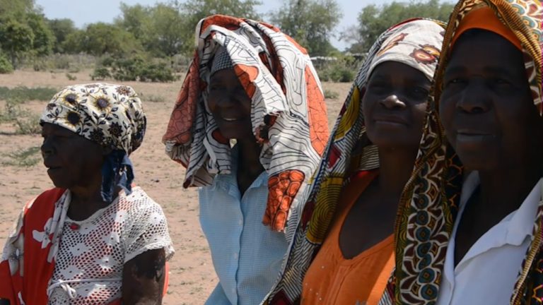 FAO towards intensification of production and value chains in Mozambiqu…