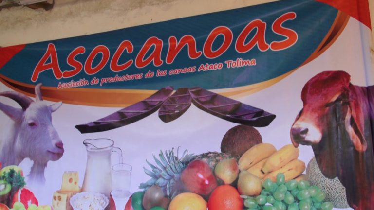 Tolima: Con sello de equidad