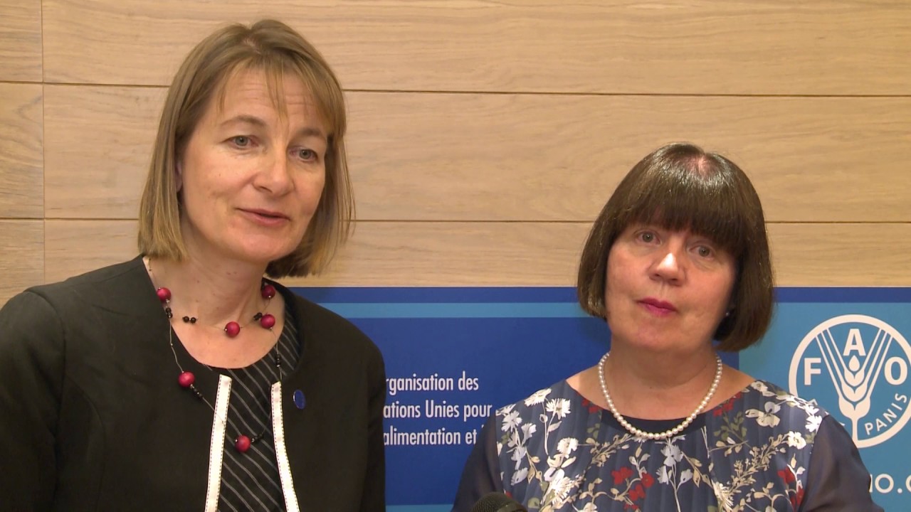 Remarks by Finland Representatives  Hulmi Aulikki and Gebremedhin Anna