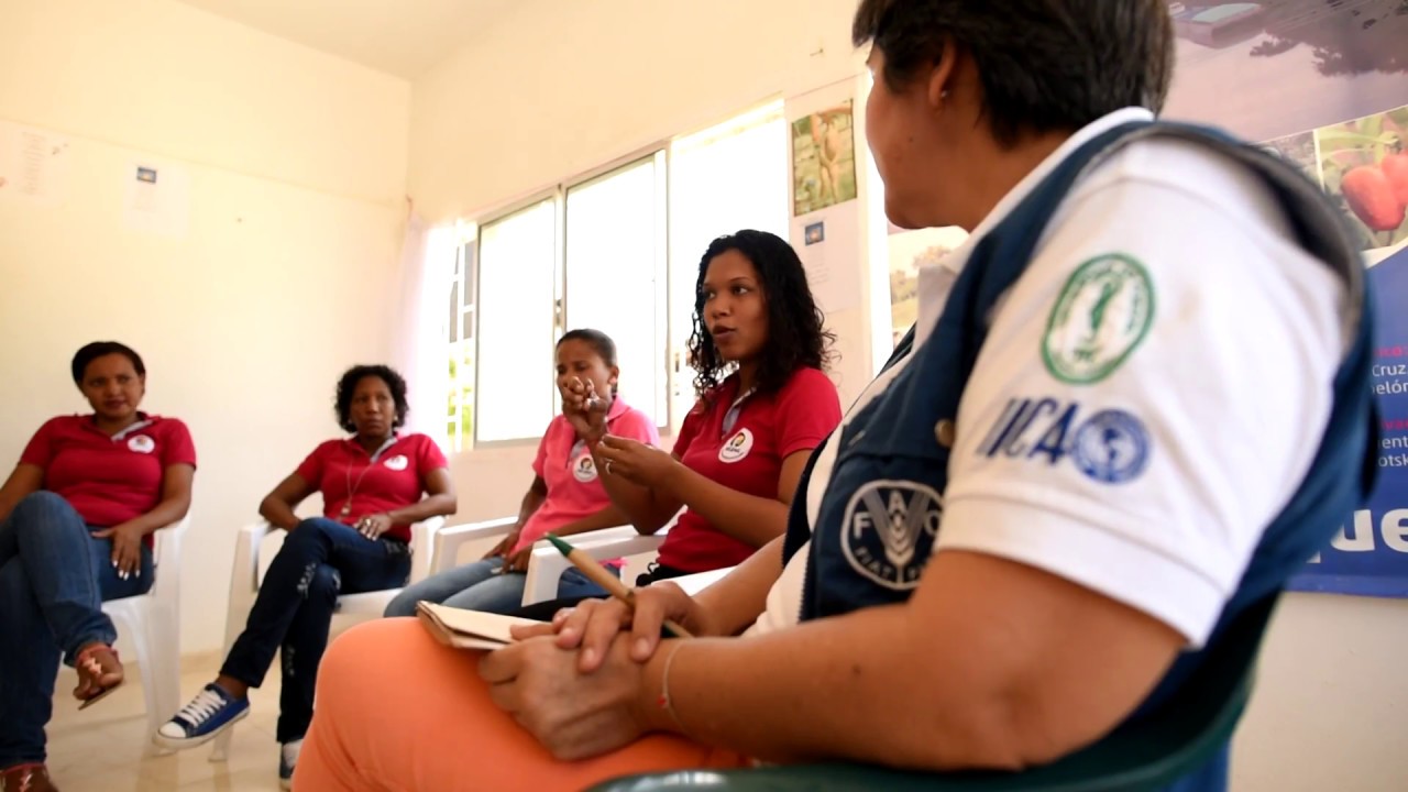 Nuevos Territorios de Paz- Red de actores