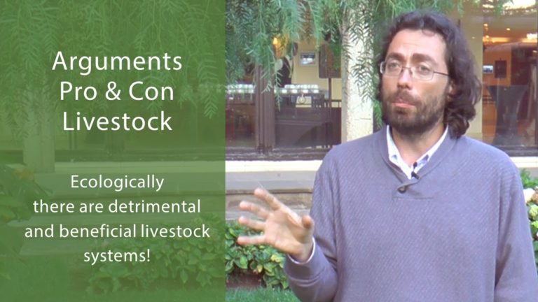 Pro & Con Livestock Arguments From a Research Perspective – Interview w…
