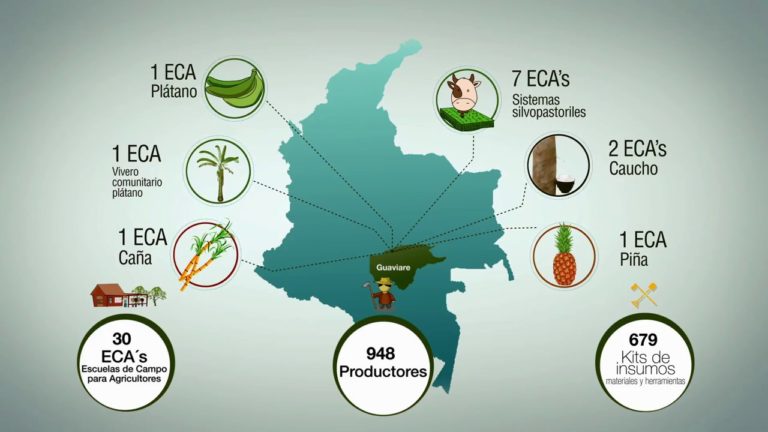 Nuevos Territorios de Paz- Desarollo Productivo
