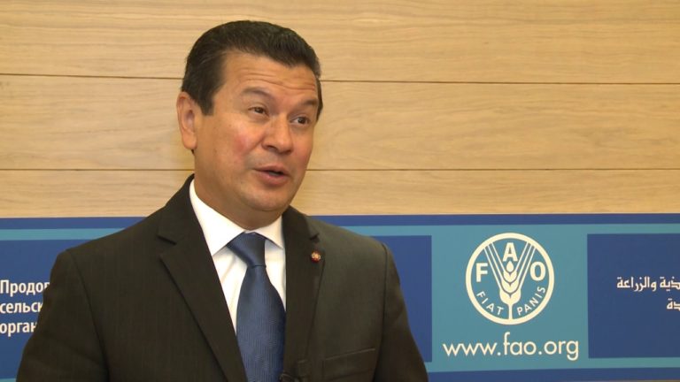 Declaraciones del Ministerio de Relaciones Exteriores de El Salvador