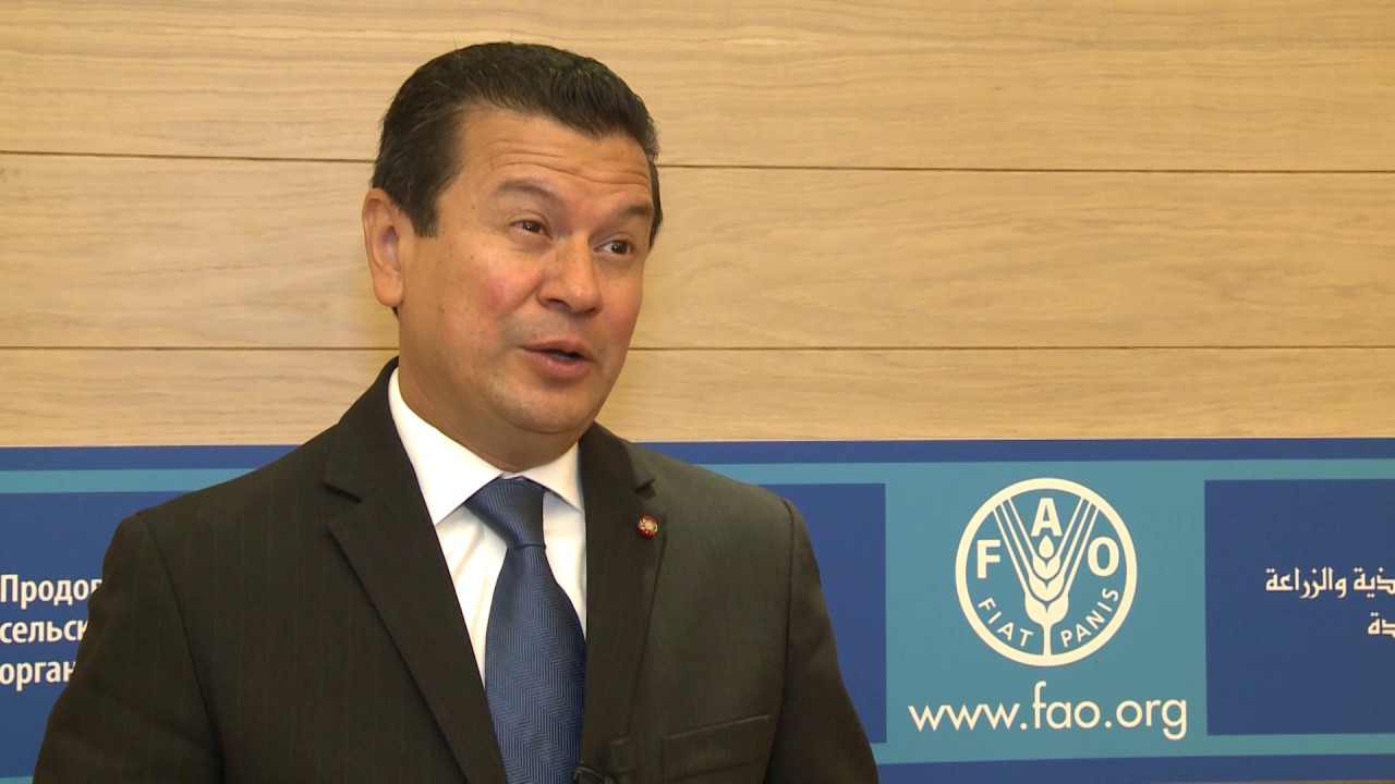 Declaraciones del Ministerio de Relaciones Exteriores de El Salvador