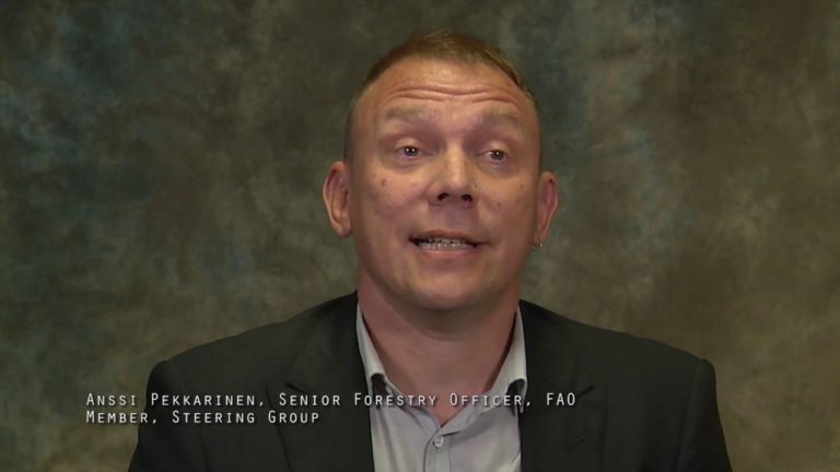 National socioeconomic surveys in forestry