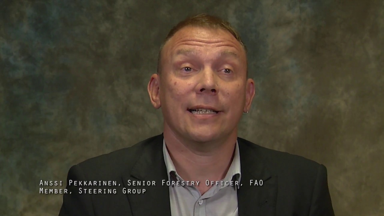 National socioeconomic surveys in forestry