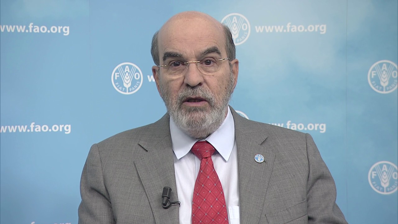 FAO Director-General at WTO’s Aid for Trade (AfT) Side Event