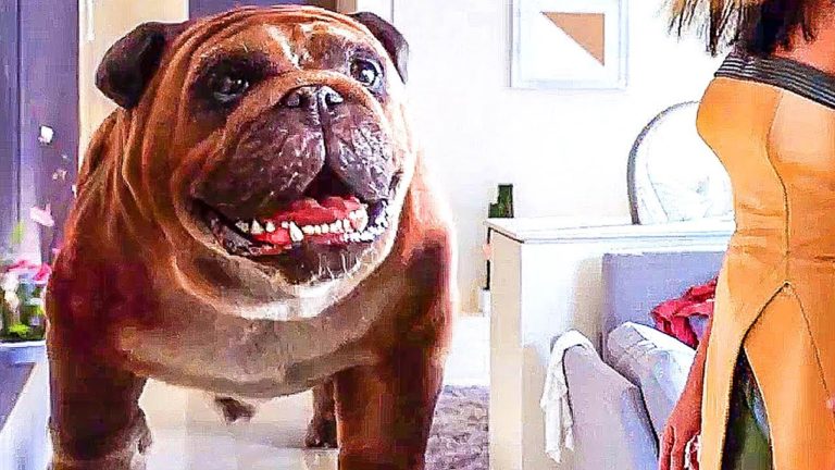 INHUMANS Comic Con Trailer (Marvel, Superhero Series – 2017)