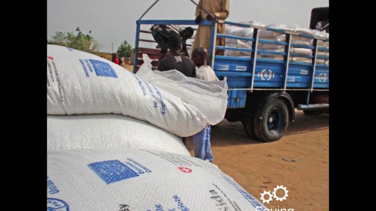 FAO emergency assistance in north-east Nigeria
